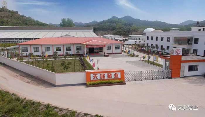 天兆豬業集團